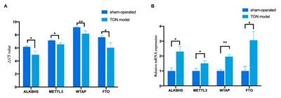 The Alteration of M6A-Tagged Transcript Profiles in the Retina of Rats After Traumatic Optic Neuropathy